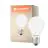 Ledvance Classic LED E27 Päärynä Filament Matta 7.5W 1055lm - 840 Kylmä Valkoinen | Himmennettävä - Korvaa 75W
