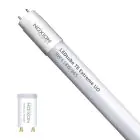 Noxion LED Putki T8 Avant Extreme (EM/Mains) Ultra Output 8.4W 1350lm - 865 Päivänvalo Valkoinen | 60cm - Korvaa 18W